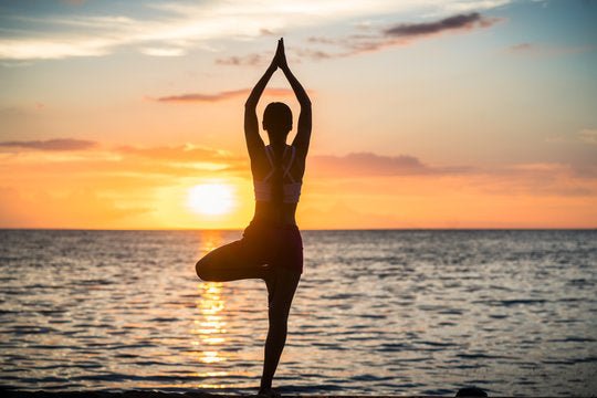 Path to Health & Wellness